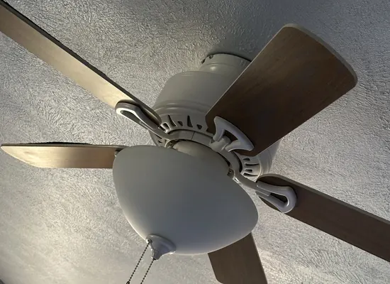 Ceiling fan